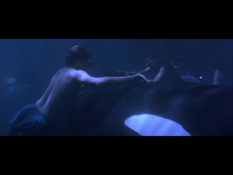 Free Willy 2 &ndash; Whale Swim Scene