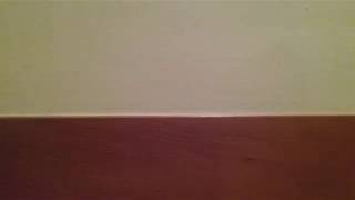 Saying sponge bob 1000 times!!!!