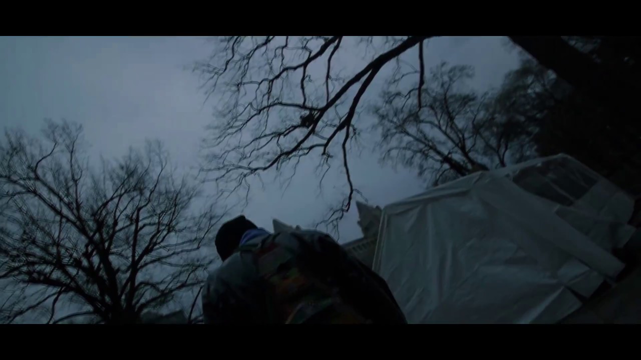 The Spirit of the Beehive "twenty first road trip" Official Video