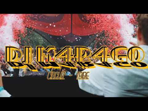 Música De Antro 2019 - Circuit & Tribe - (Dj M4R4G0)