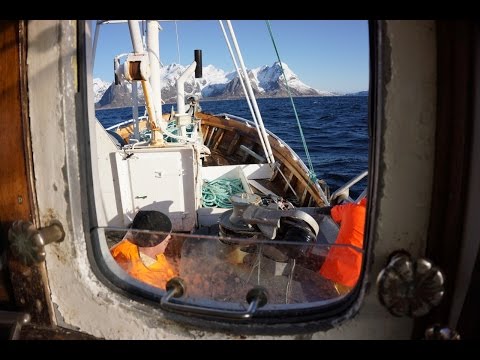 Breisund - Auf Dorschfang vor den Lofoten