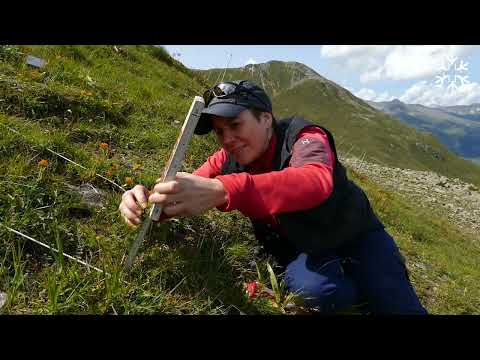 Was macht das SLF im Sommer? - What does the SLF do in the summer? - Que fait le SLF en été?