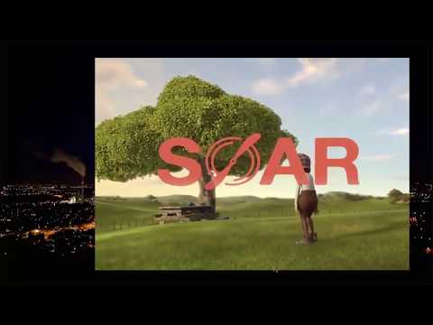 Check out this heart warming CGI Award Winning 3D Animated Short HD Soar by Alyce Tzue