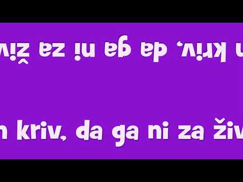 MEF in Narodnoosvobodilni bend - Facebook brigade