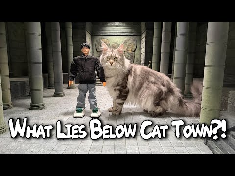 What Lies Below Cat Town?