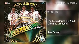 Tu Sin Mi Music Video