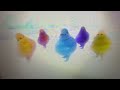 The Boohbahs Twist To The Blue S School End Credits