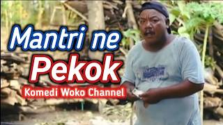 Download lagu Mantrine Pekok ‼️Woko Channel #wokochannel #jawa comedy #comedy #funny comedy mp3