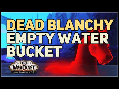 Empty Water Bucket WoW Dead Blanchy