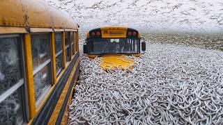 По Всему Миру Происходит НЕЧТО НЕВОЗМОЖНОЕ! Случаи В ПРИРОДЕ Один На МИЛЛИОН!