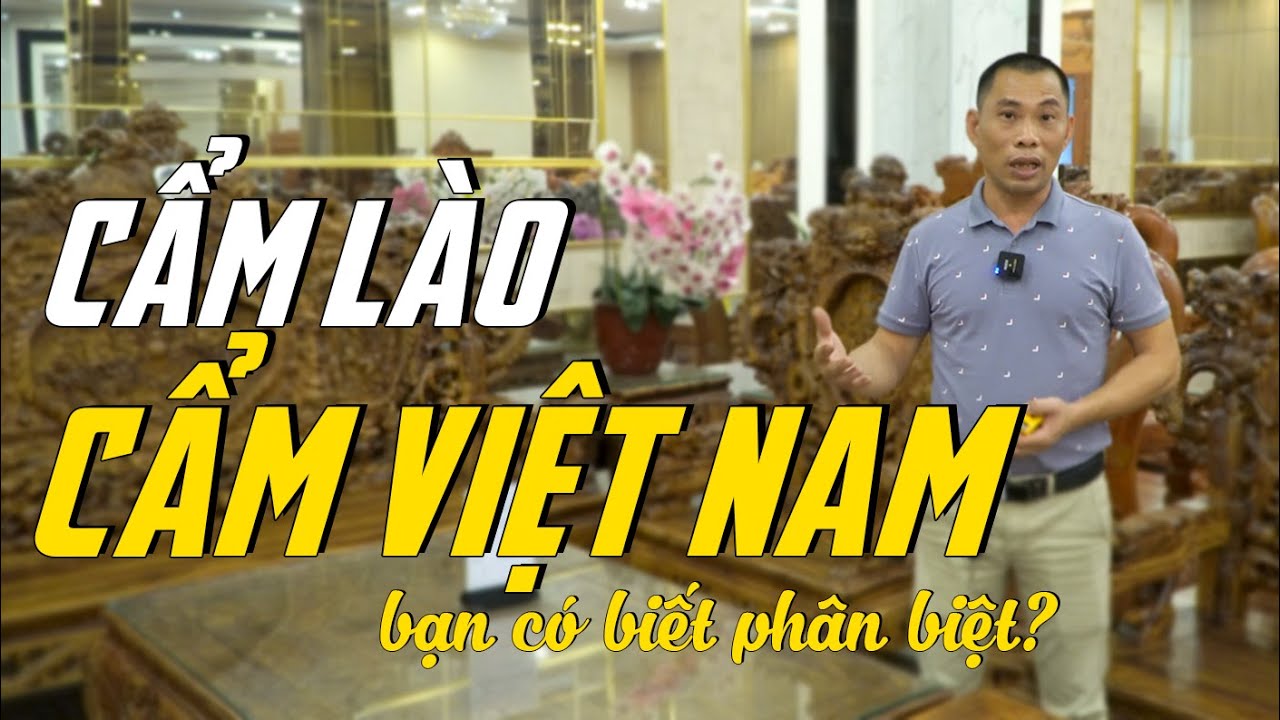 Phân biệt Gỗ Cẩm Việt Nam và Cẩm Lào | Cách phân biệt gỗ Cẩm Lai | Đồ Gỗ XUANBAC