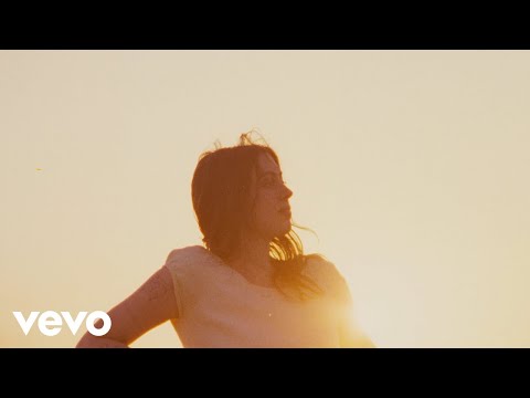 Lizzy McAlpine - The light in the painting (Official Video)