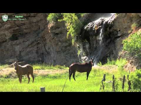 UEI Das Leben ist ein Geschenk