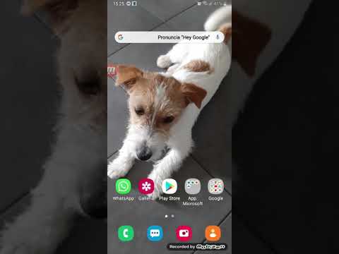 Sbriser dice una parolaccia nel suo video roleplay