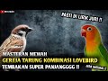 MASTERAN MEWAH GEREJA TARUNG KOMBINASI LOVEBIRD PASTI DI LIRIK JURI