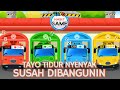 TAYO TIDUR NYENYAK SUSAH DIBANGUNIN Tayo