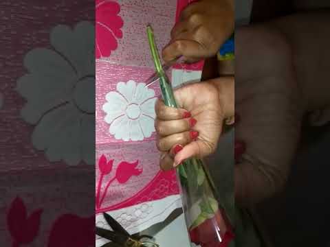 how to make simple boke tutorial | #rose #flowers #viral #viral #viral #viral