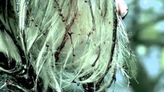 SADIE- MASSIVE BLOOD DRIVE - Women in Horror Month