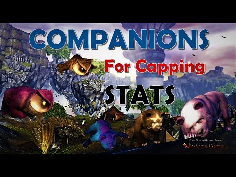 Companions *VITAL* for Capping STATS - Mod 18 Neverwinter
