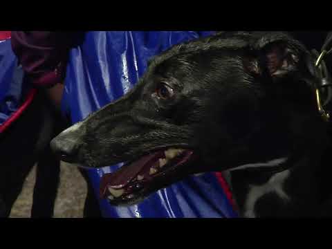 2020 STAR SPORTS & ARC DERBY - 2ND SEMI - T3 WOLFE