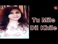 Tum Mile Dil Khile Criminal 1995 Alka Yagnik Kumar Sanu