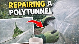 🎥 ✅ 🌿 Repairing a Polytunnel in Winter ❄️ | Essential Allotment Maintenance