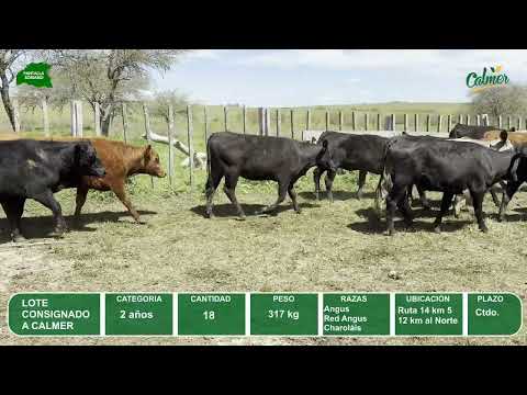 Video del lote L0-000870
