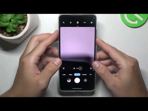 How to Take Live Photo in Motorola Moto G84? Create Amazing Motion Pictures via Moto Camera!