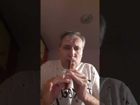 Besame mucho( cover) ...serbian flute