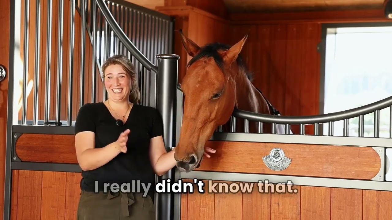 Youtube Video Preview Image