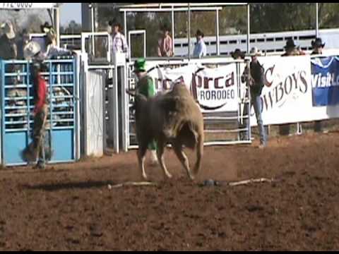 Dustin Hall on the bull 772 Gangbuster