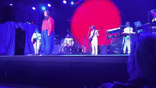 Todd Rundgren “Just Another Onionhead”