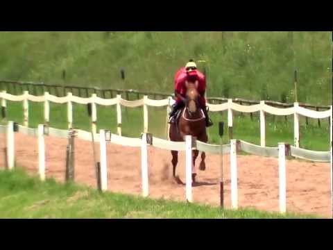 2012-12-18 Brass Verdict trackwork