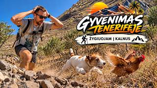 Žygiuojam į kalnus Tenerifėje (1)