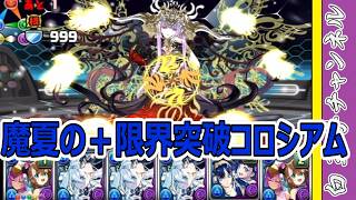 【パズドラ】魔夏の＋限界突破コロシアム！　水はクラウディアっしょ