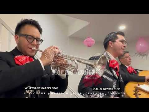 Promotional video thumbnail 1 for Mariachi Flor de Azalea