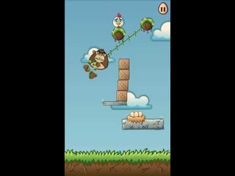 Chicken Story 2 Video