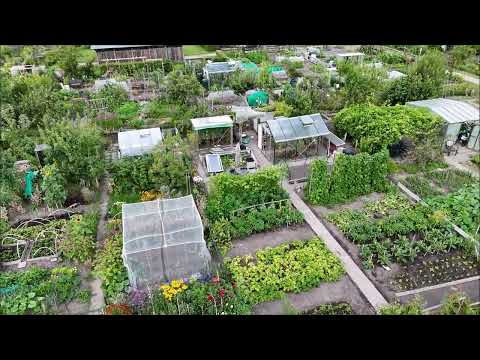 Volkstuinvereniging Huizen juli 2025.