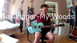 No Trigger - My Woods (Guitar Cover)