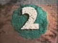 BBC 2 Garden 1991
