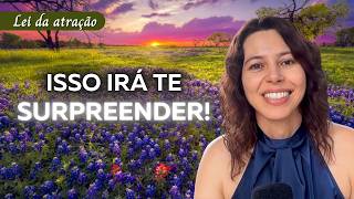Ferramentas ou Vales de Permissão | Tania Explica Bashar