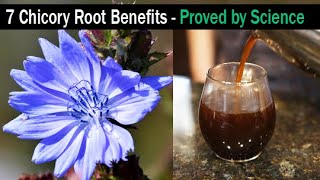 Chicory Root Benefits - How To Make Chicory Coffee