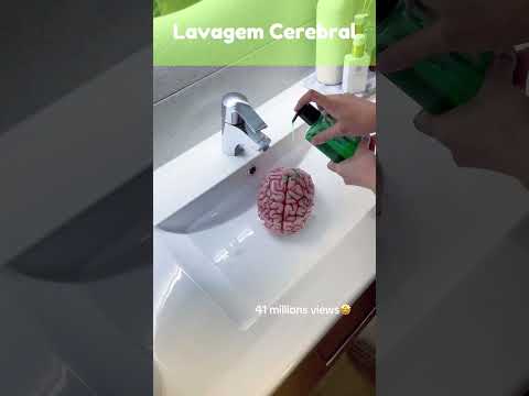 Lavagem Cerebral - Insetos