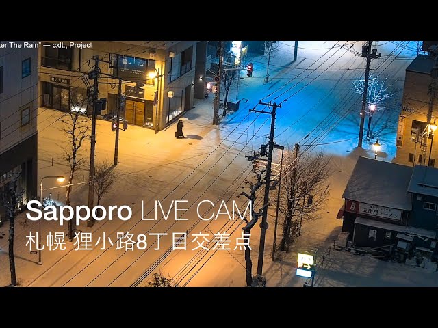 札幌市ライブカメラ | lofi, beats to relax | 狸小路8丁目交差点 雪道・道路状況 cctv 監視器 即時交通資訊