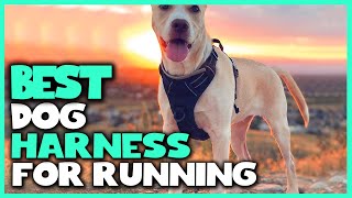 Best Dog Harness for Running in 2026 - Top 5 Review | Large,
