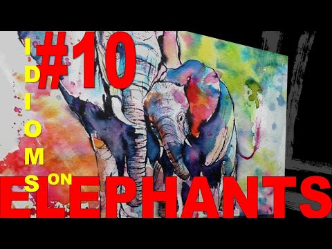 How to use idioms on Elephants in daily English communication?