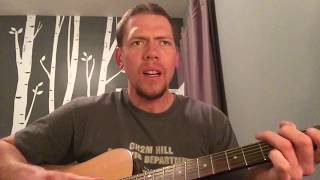 Sufjan Stevens - Drawn to the Blood Cover