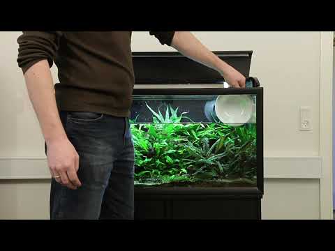 comment nettoyer aquarium tortue d'eau