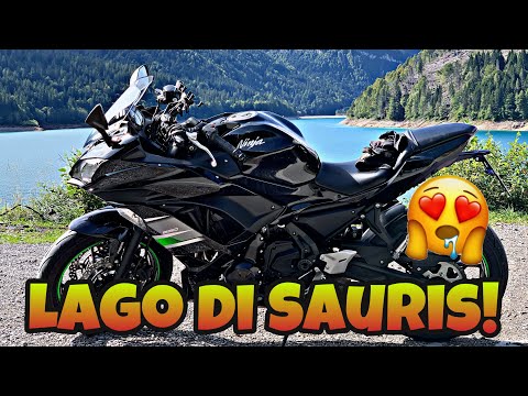 Lago di Sauris! Che spettacolo! 😍Friulivlog ep.9