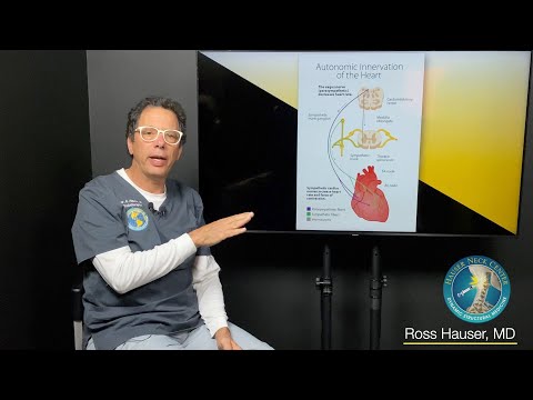 Bradycardia, Syncope, and how Cervical Instability affects the Trigeminal Cardiac Reflex